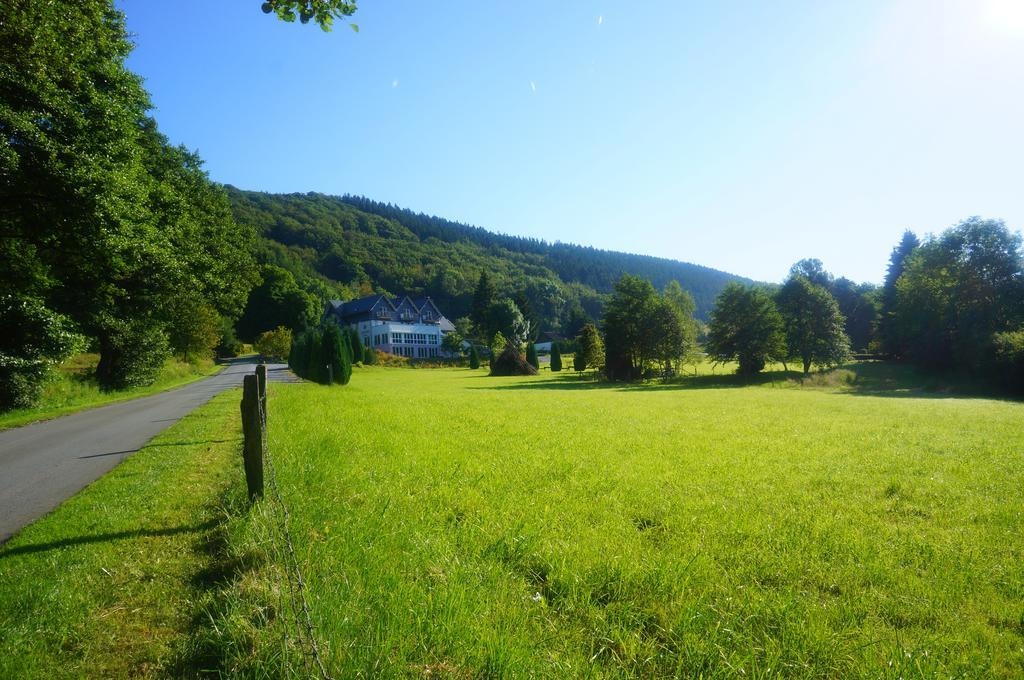 Waldhotel Schinkenwirt Olsberg Extérieur photo