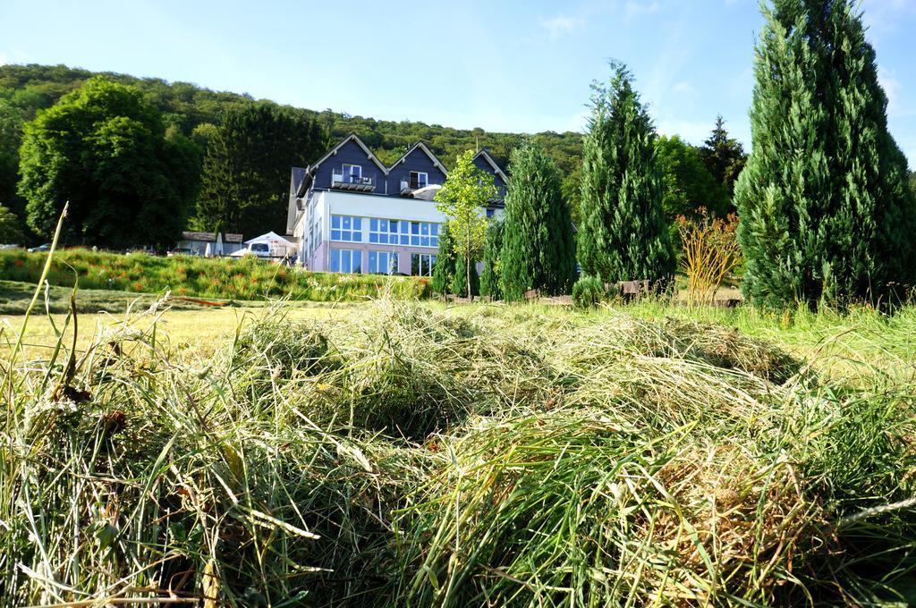 Waldhotel Schinkenwirt Olsberg Extérieur photo