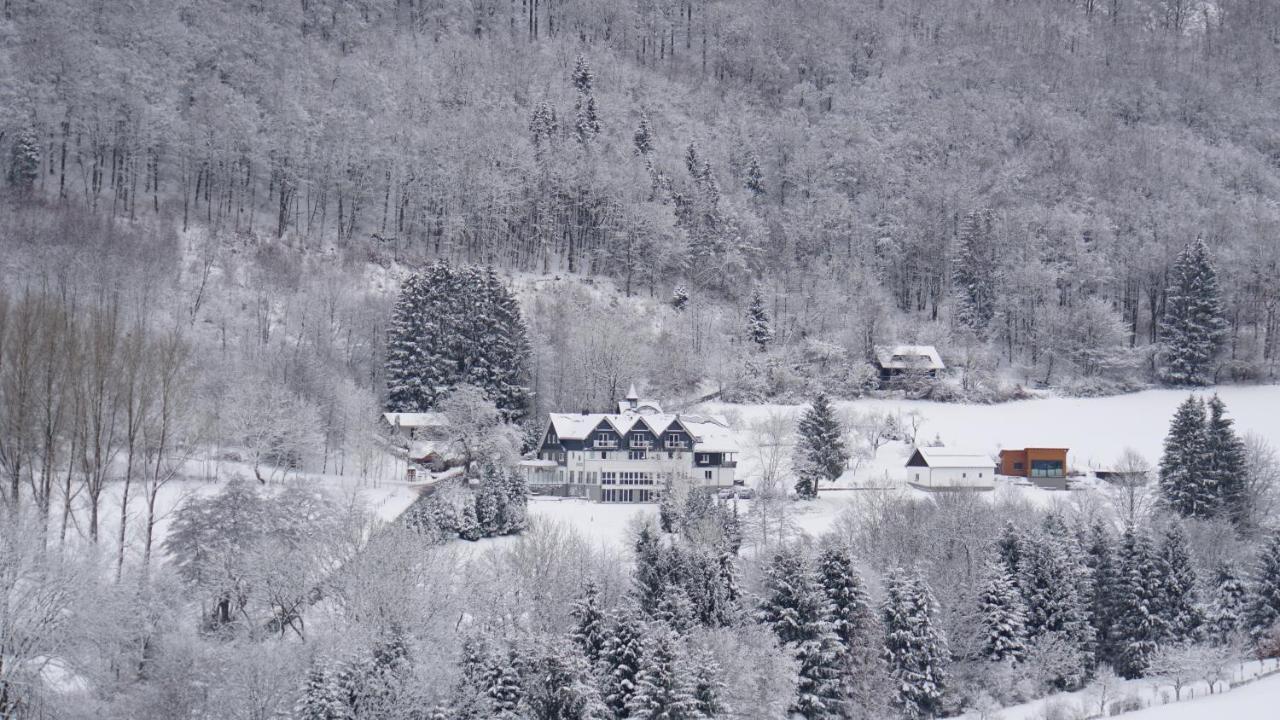 Waldhotel Schinkenwirt Olsberg Extérieur photo