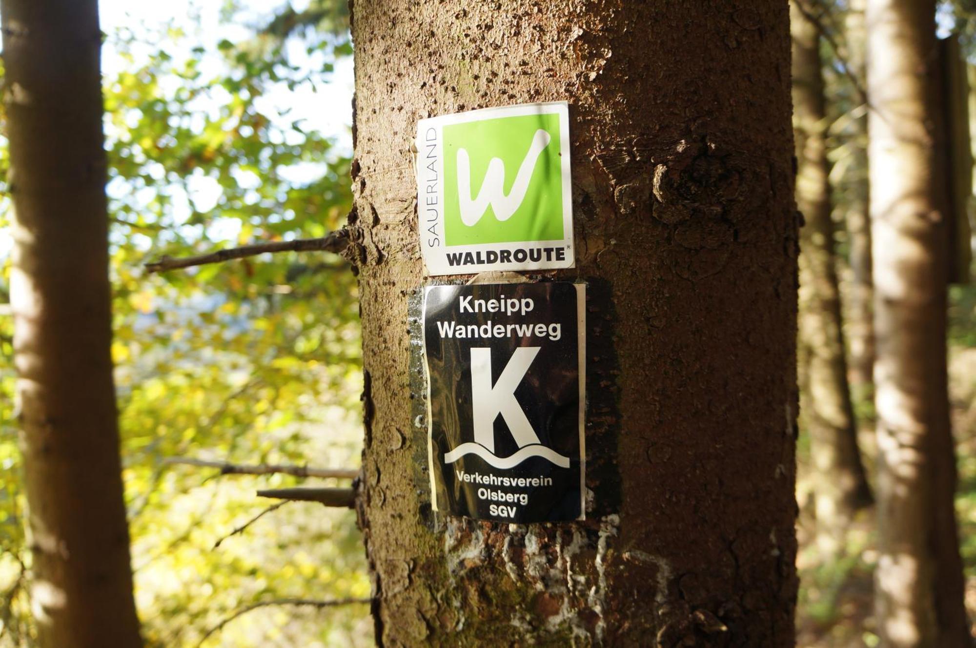 Waldhotel Schinkenwirt Olsberg Extérieur photo