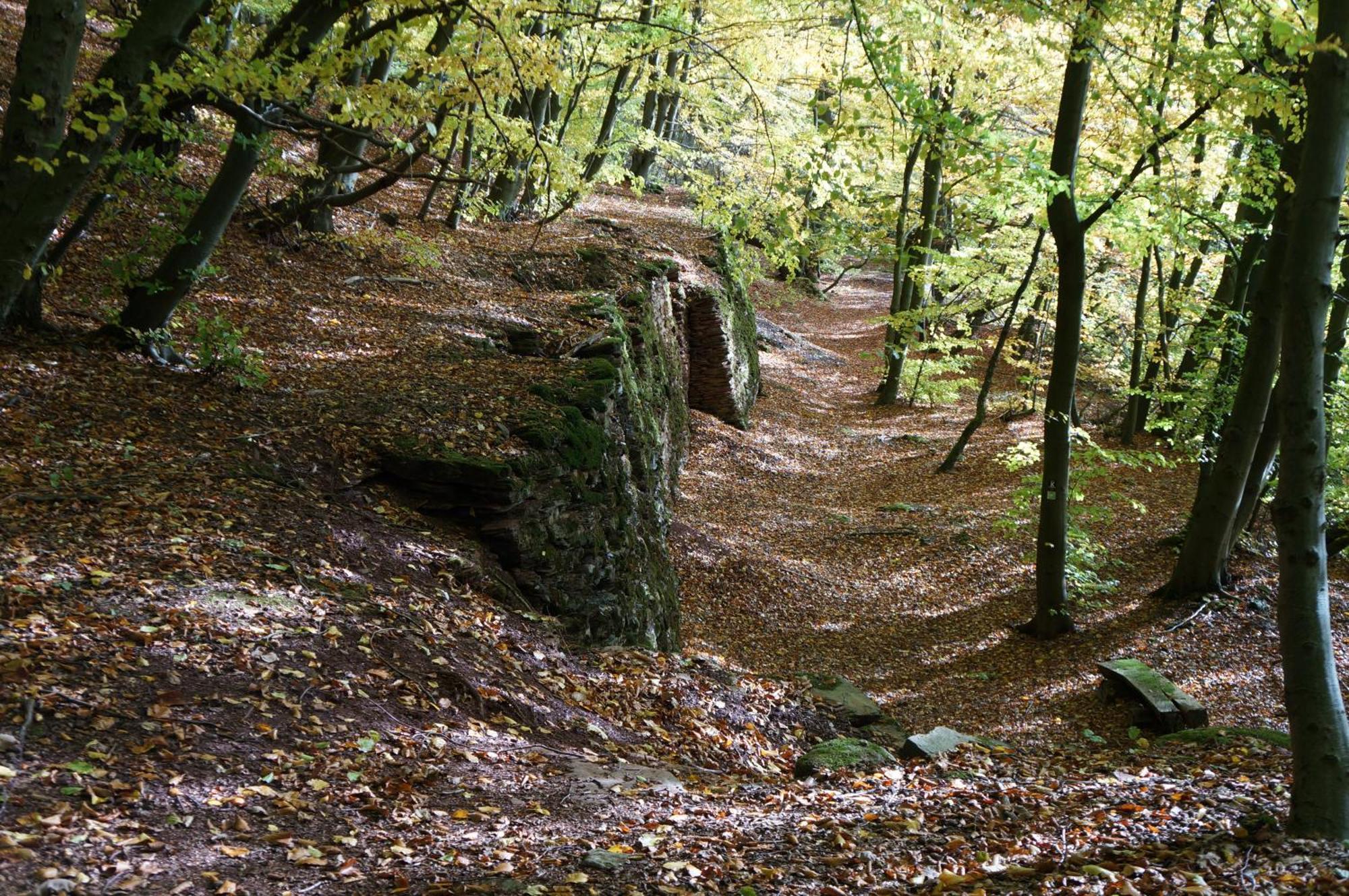 Waldhotel Schinkenwirt Olsberg Extérieur photo